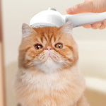 Pet Comb Self-Cleaning Hair Remover Brush with Mist