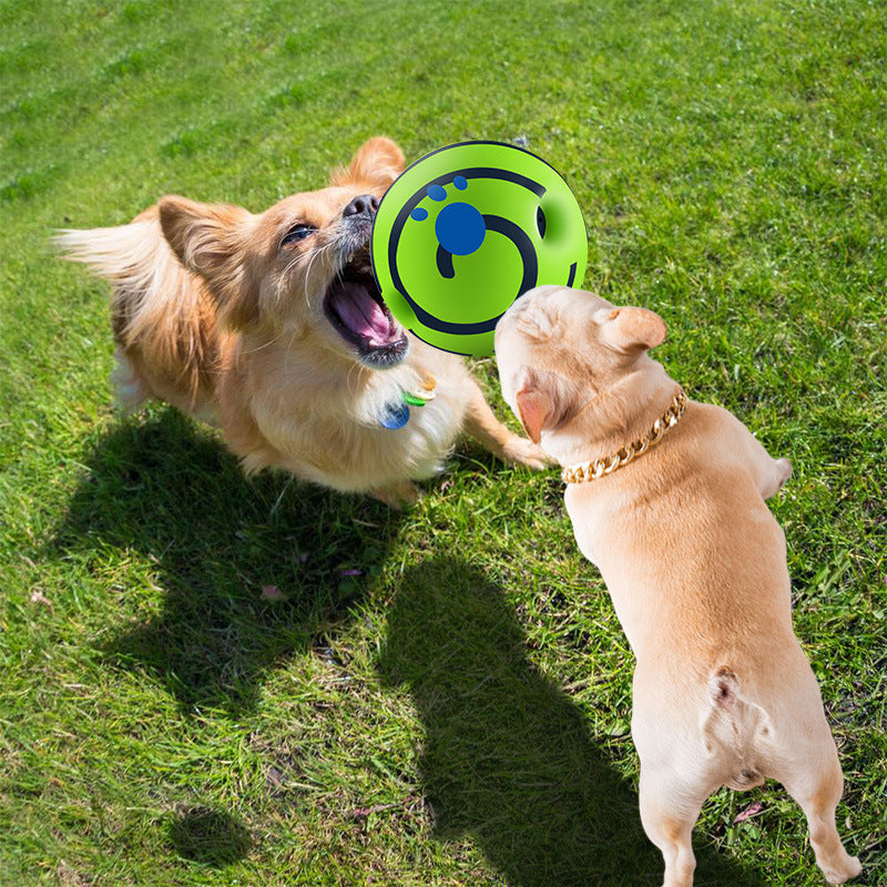 Durable Dog Toy Ball
