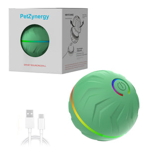 Interactive Rubber Pet Toy for Active Play