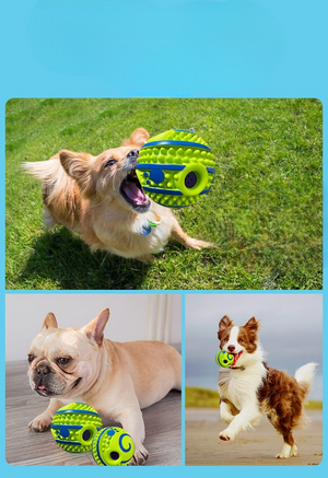 Durable Dog Toy Ball