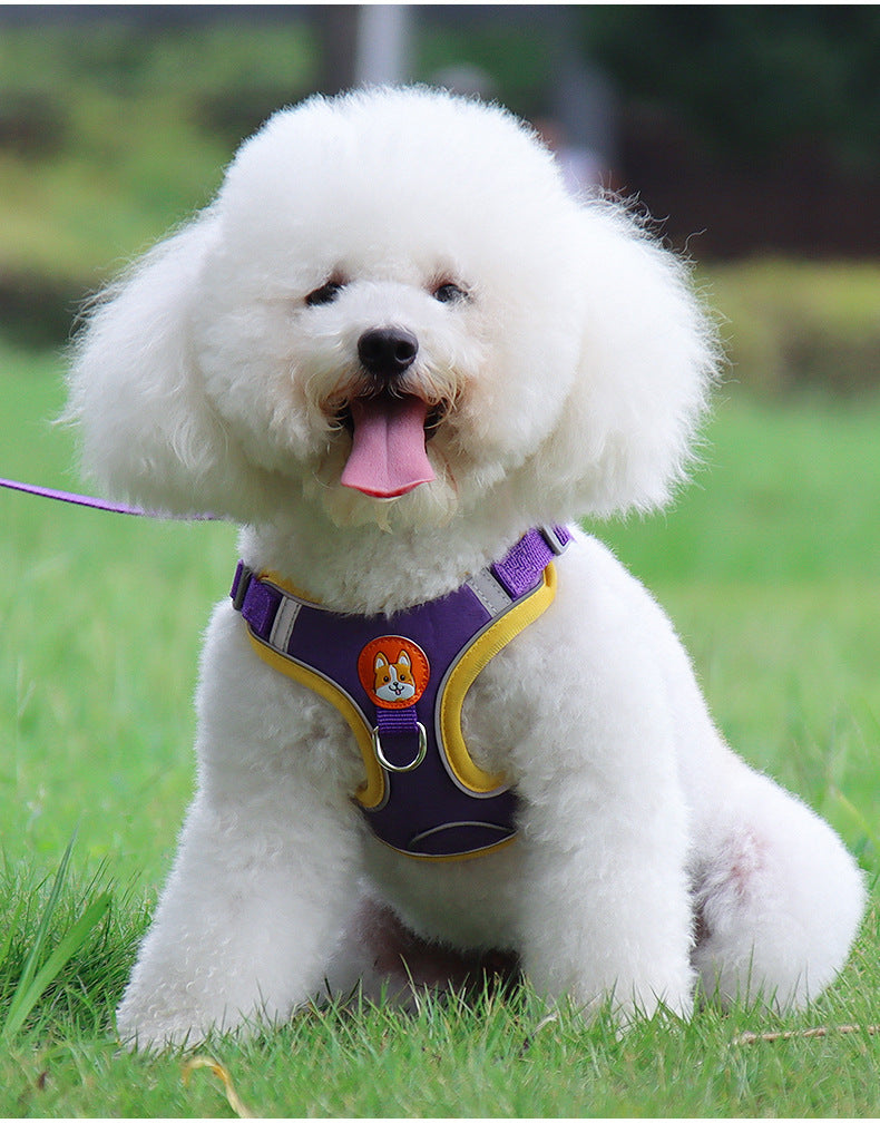 Reflective Dog & Cat Harness with Leash