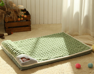 Thickened Warm Sleeping Cotton Cushion