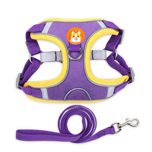 Reflective Dog & Cat Harness with Leash