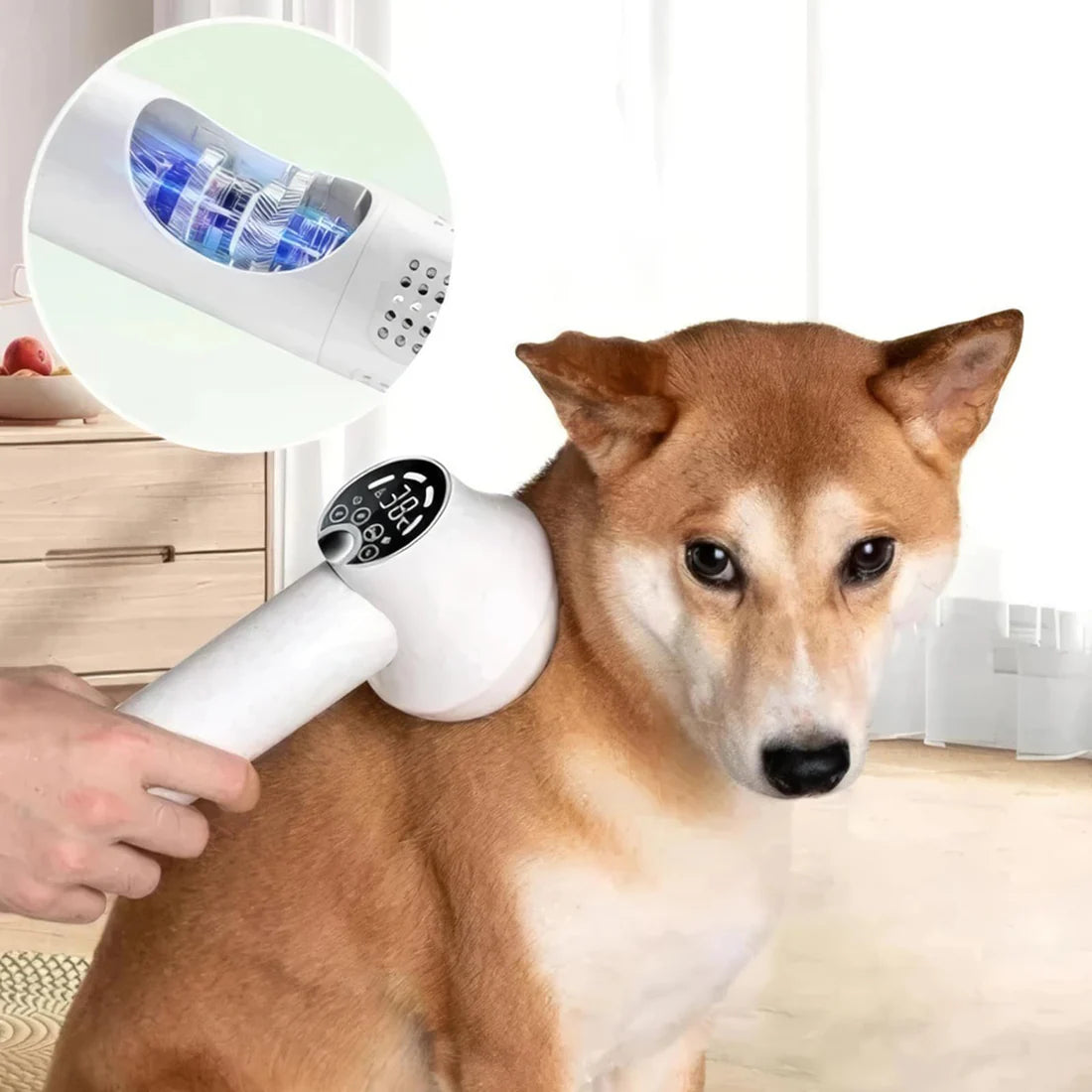 Smart Pet Hair Dryer & Comb
