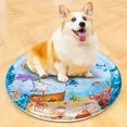 Pet Water Cushion Mat