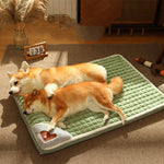 Thickened Warm Sleeping Cotton Cushion