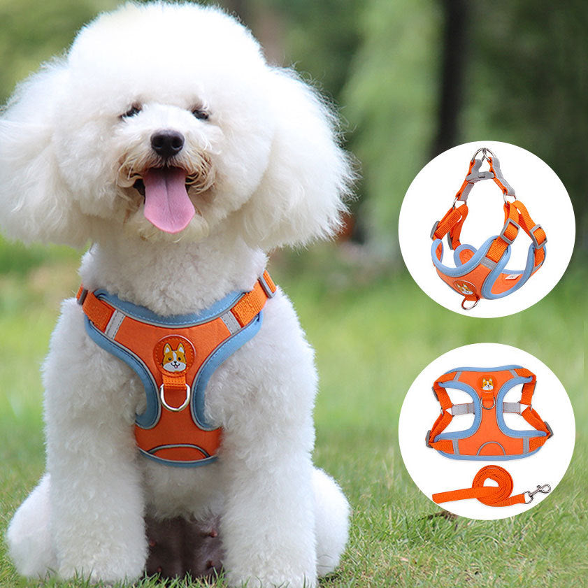 Reflective Dog & Cat Harness with Leash