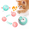 Cat Gravity Intelligent Rolling Ball