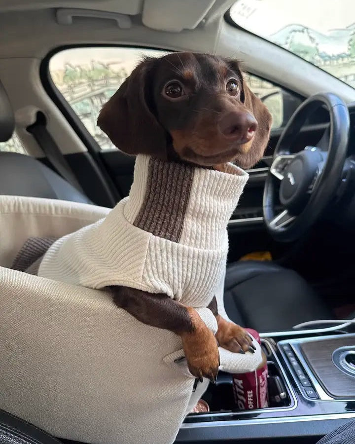 Portable Car Seat Bed for Small Dogs & Cats
