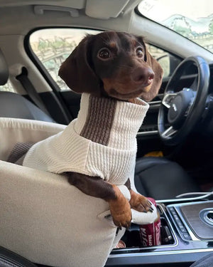 Portable Car Seat Bed for Small Dogs & Cats