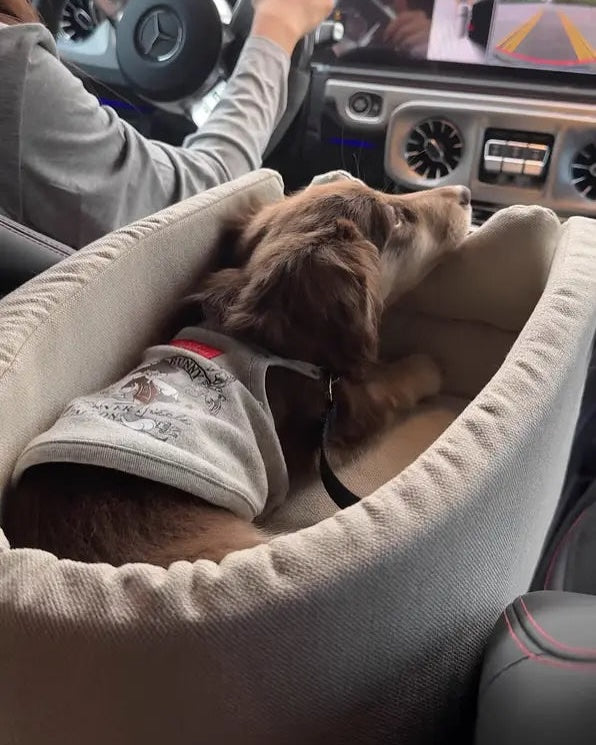 Portable Car Seat Bed for Small Dogs & Cats