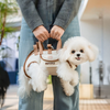 Pet Dog & Cat Crossbody Carrier Bag