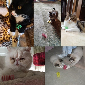 Durable Plastic Spiral Coils for Kittens