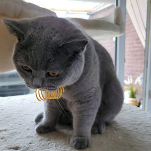 Durable Plastic Spiral Coils for Kittens