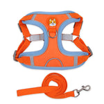 Reflective Dog & Cat Harness with Leash