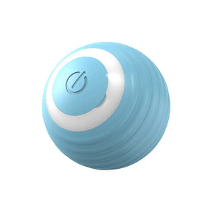 Interactive Smart Cat & Dog Toy