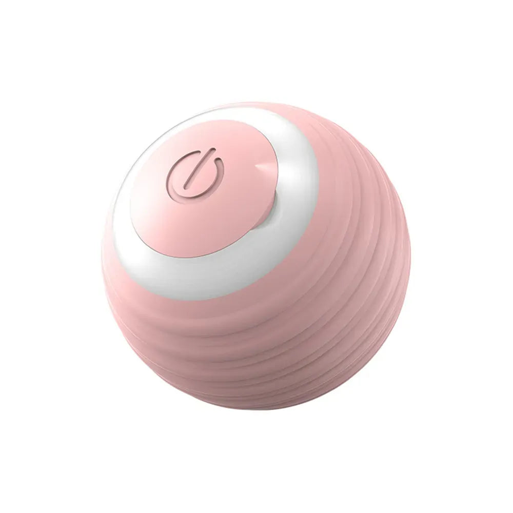 Interactive Smart Cat & Dog Toy