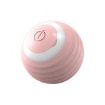 Interactive Smart Cat & Dog Toy